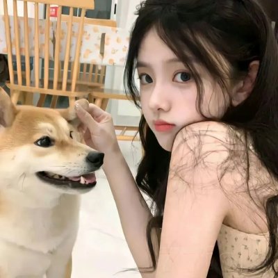 她和她的美丽岛