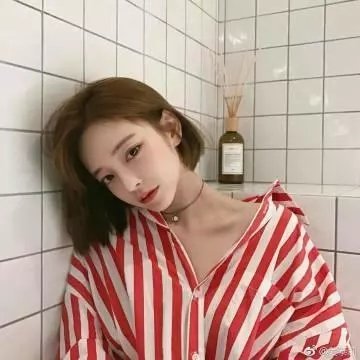 宝可梦 地平线